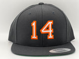 14 RICO "SnapBack"