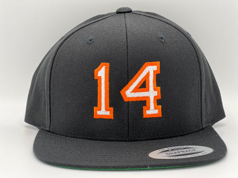 14 RICO "SnapBack"