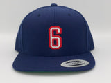 6 WEBER “SnapBack”