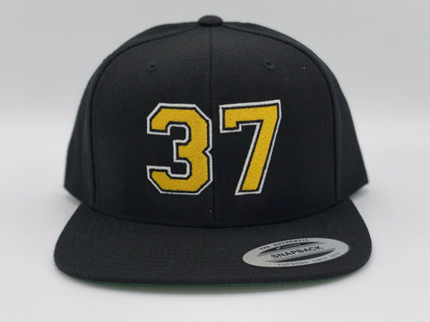 37 BERGY "SnapBack"