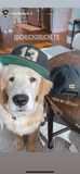 13 CC "SnapBack"