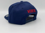 6 WEBER “SnapBack”
