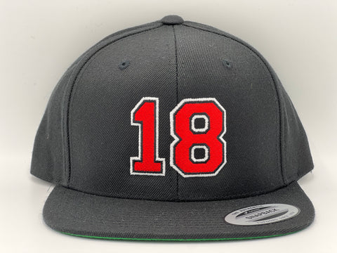 18 PALAT NJ "SnapBack"