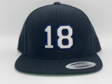 18 PALAT “SnapBack”