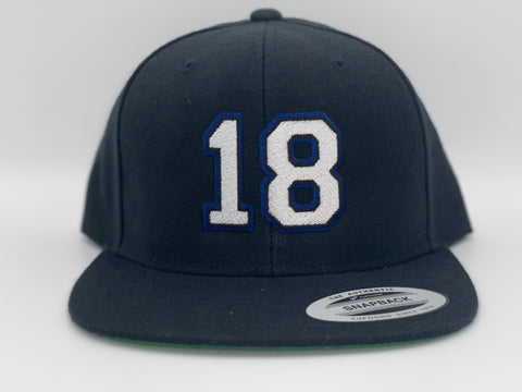 18 PALAT “SnapBack”