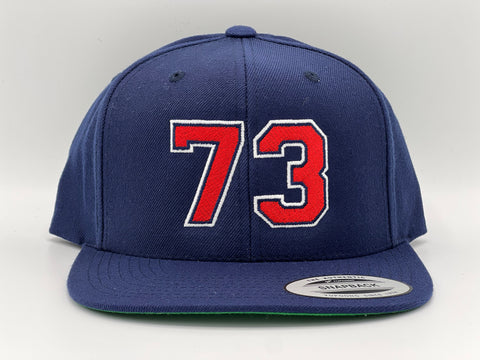 73 SHEERS "SnapBack"